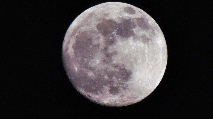 2020年12月12日の運勢【クリームパン占い】の画像