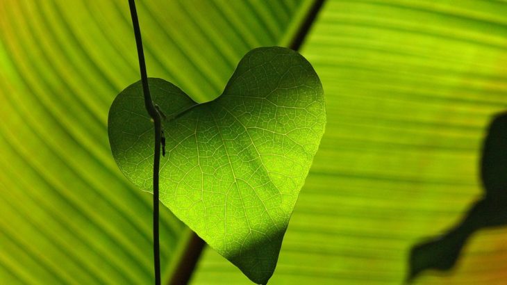 恋愛における愛情と親密さの欠如はなぜ起こる？ 回復方法は？（２/４）の画像