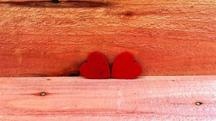 「双子の炎」 と出会う22の方法（４/５）の画像