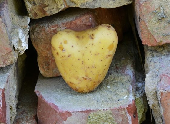 彼があなたのために自分の感情と戦っていることを示すサイン（６/６）の画像