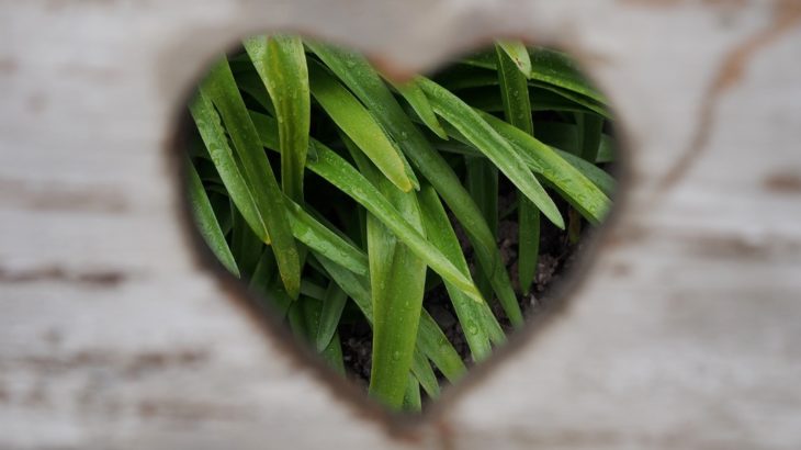 これが現代のヴィンテージ男性が女性の心を勝ち取る方法（１/２）