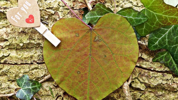 感情的なしびれを理解して克服するためのガイド（２/５）