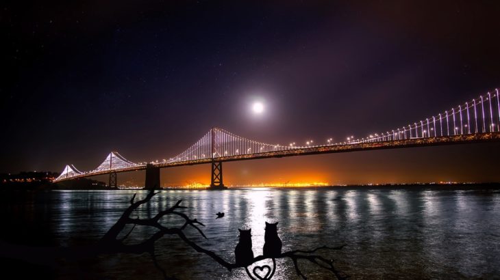 「双子の炎」 と出会う22の方法（1/5）の画像