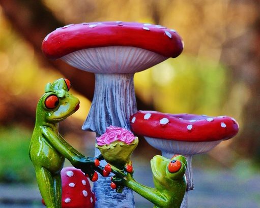 あなたの心がこのような人のために溶けるまで、独身でいる事