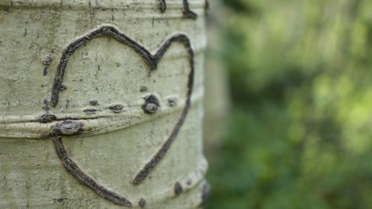 今はほしいものから距離をおくとき