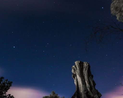 【無料・星座占い】今日の運勢【2022年6月26日】の画像