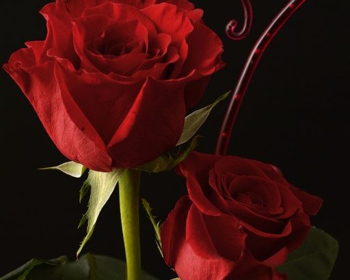 禁断の恋の名言:禁断の関係の魅力（２/３）の画像