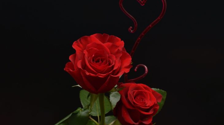 禁断の恋の名言:禁断の関係の魅力（３/３）