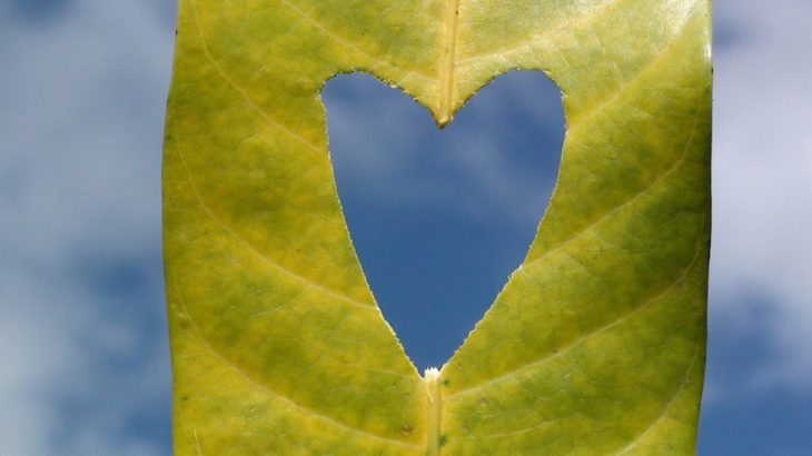 男と結婚するための12のコツ（１/３）